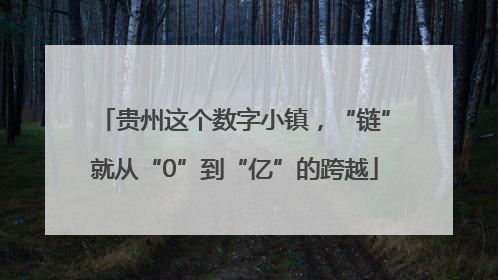 贵州这个数字小镇，“链”就从“0”到“亿”的跨越
